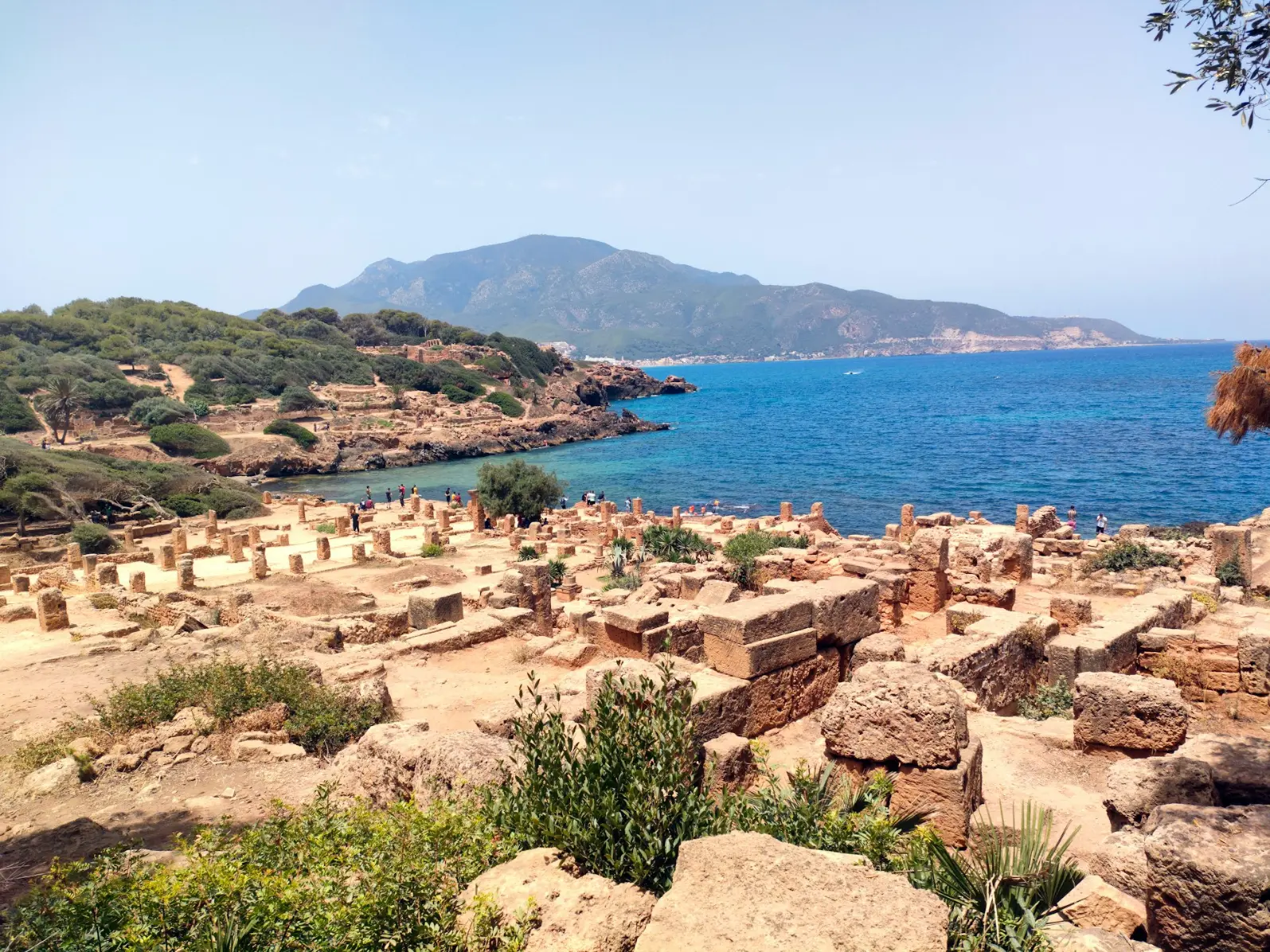 Tipaza